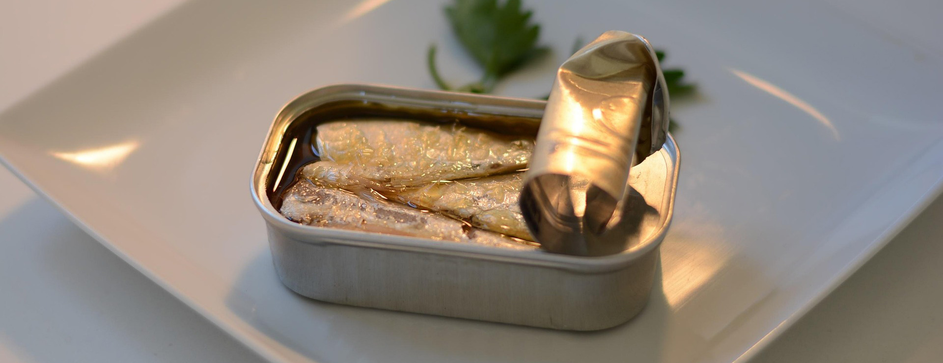 Metro Chef 1 Metro Chef -Metro Chef sardines 825606 1920